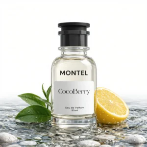 Montel Silver Mountain Water impression modern office cologne